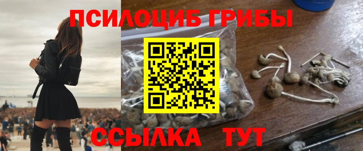 Псилоцибиновые грибы мицелий  Вход с VPN  Добрянка  Галлюциногенные грибы Cubensis 